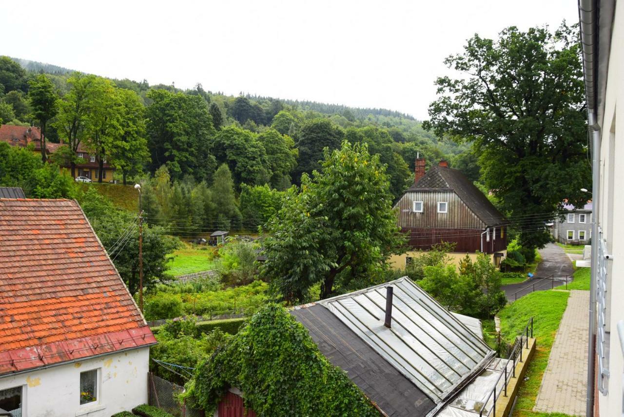 Apartment Wiktoria Zdroj Swieradow-Zdroj